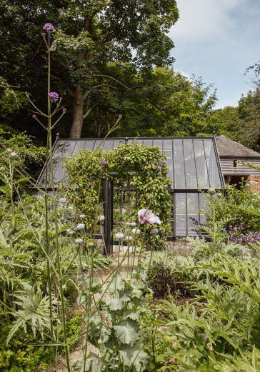 Alitex black greenhouse with flower archway